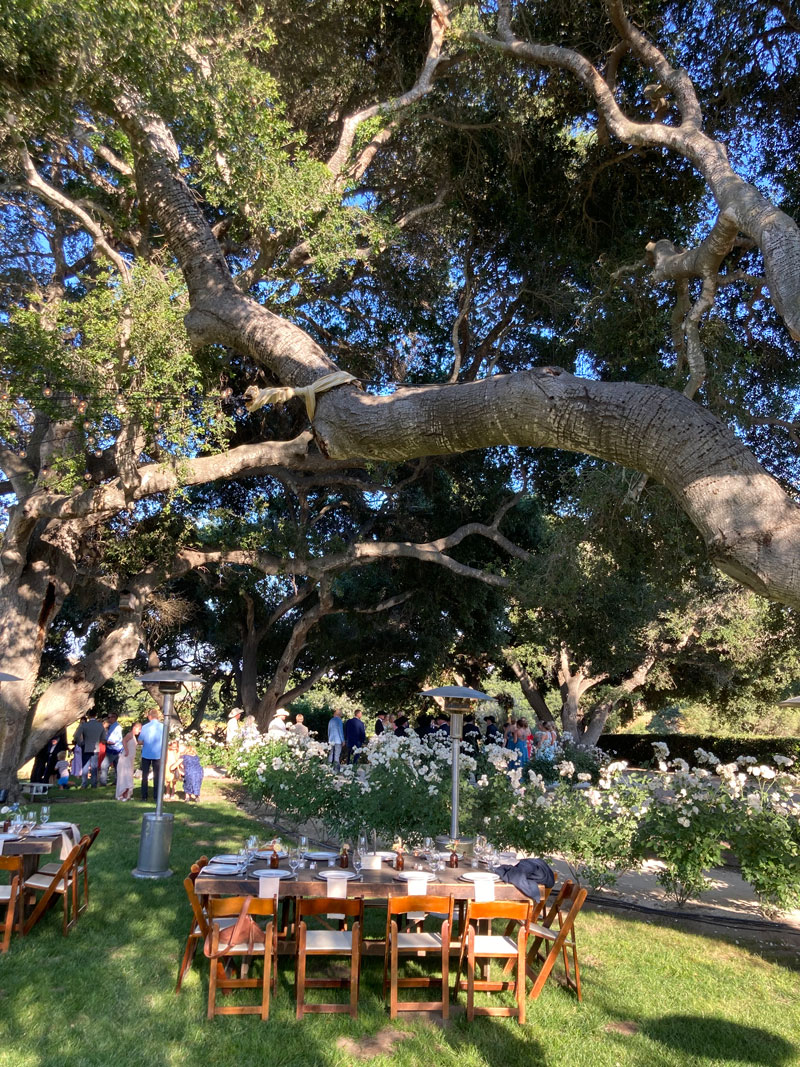 outdoor event under oak trees