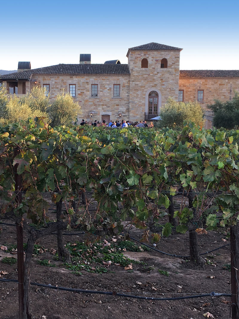 Winery with event in the background