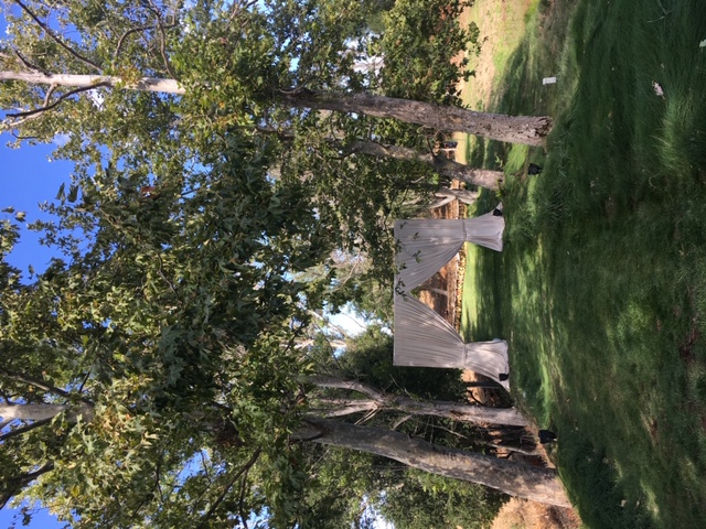 white fabric stretched between two trees as an entrance to wedding seating in the background