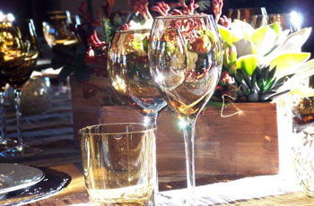 Closeup view of wine and water glasses with succulent center piece.