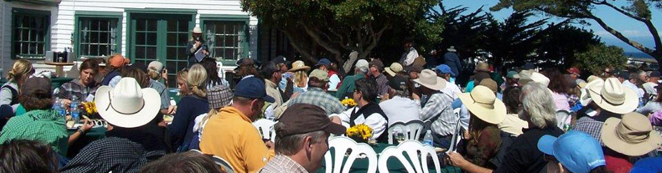 Santa Rosa Island party crowd