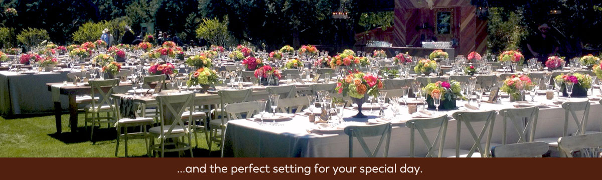...and the perfect setting for your special day.