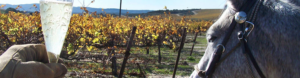 hand in riding glove holding glass of wine with horse head at right and vines of grapes in the background